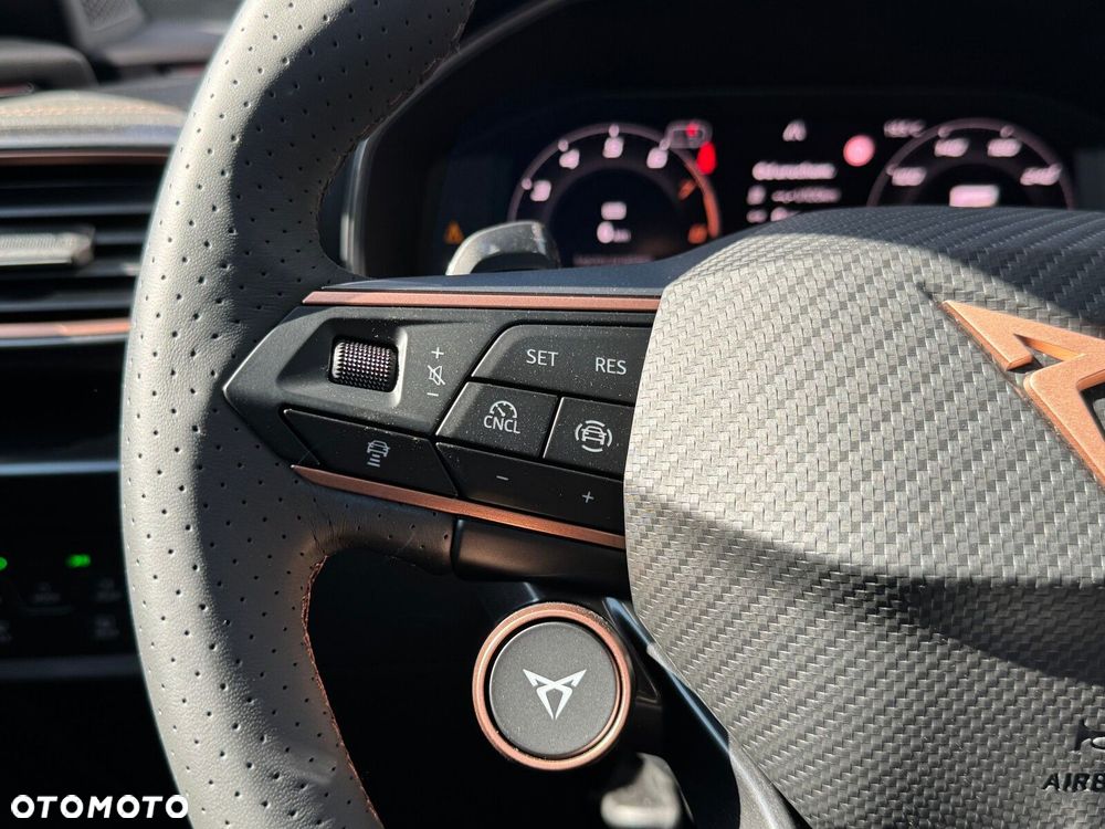 Cupra Formentor 2.0 TSI 4Drive DSG - 28