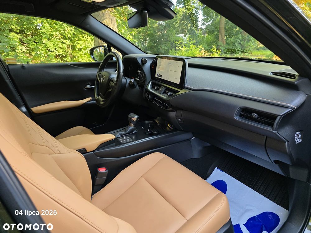 Lexus UX 250h GPF F Sport Design+ 2WD - 8