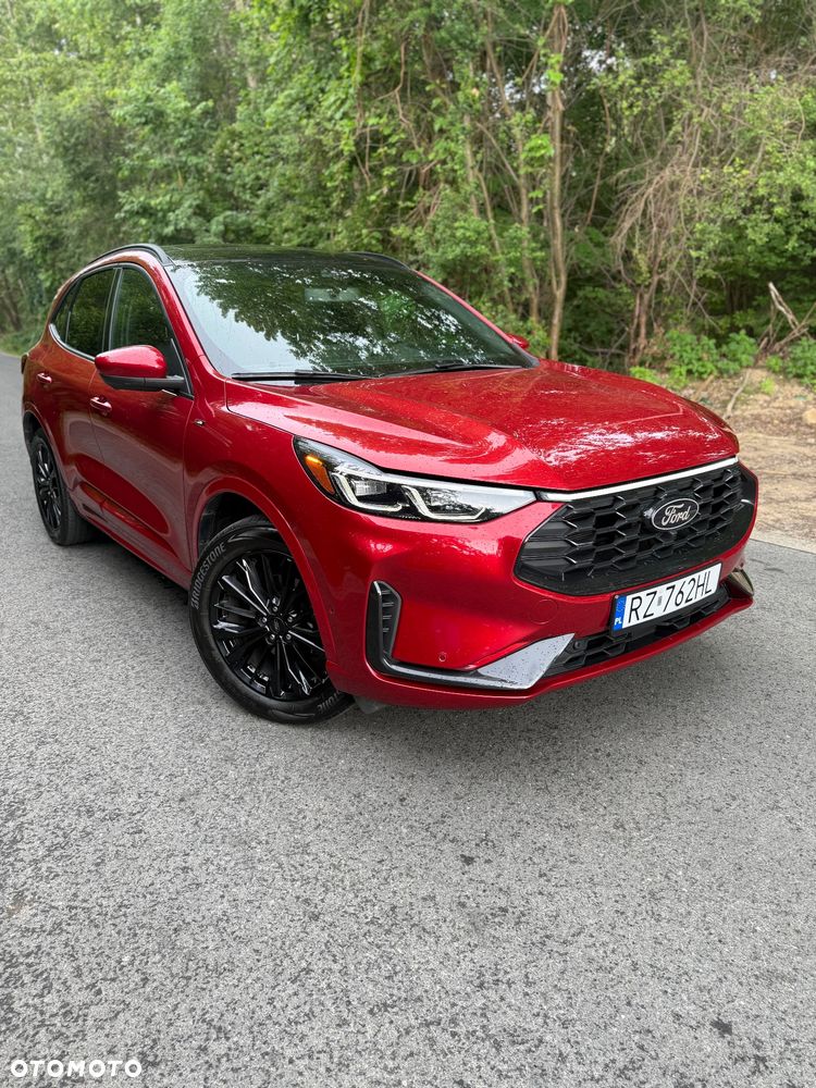 Ford Escape - 1