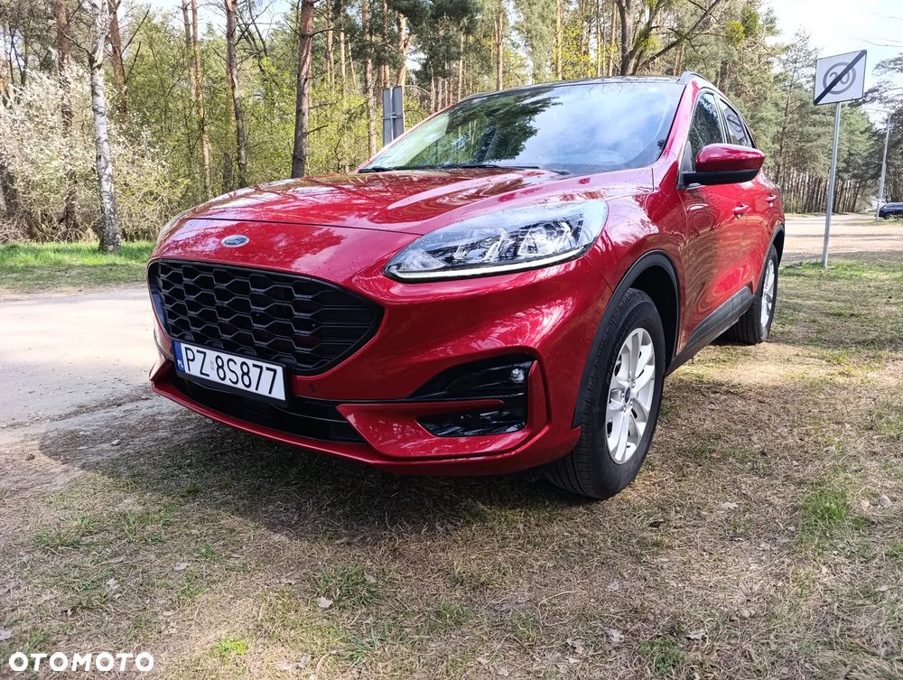 Ford Kuga 1.5 EcoBoost SOUND EDITION - 7