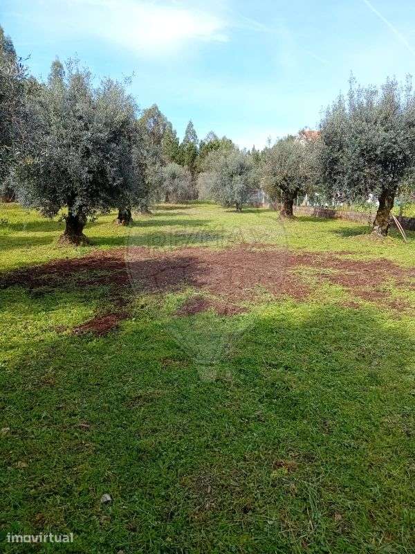 Terreno  para venda - Grande imagem: 3/9