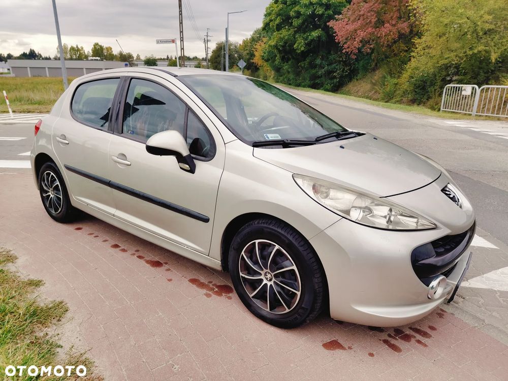 Peugeot 207 - 12