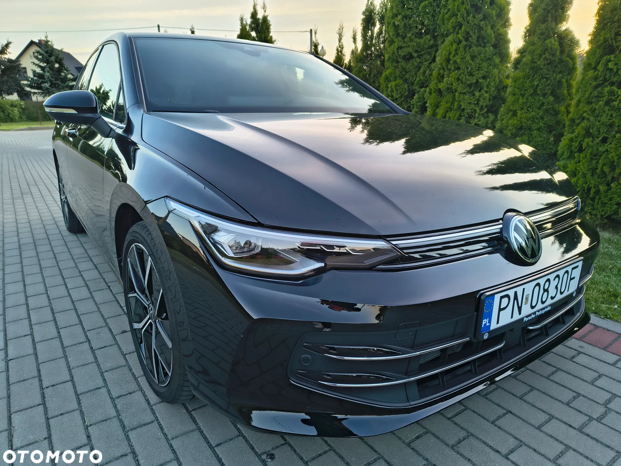 Volkswagen Golf VIII 1.5 TSI Edition 50 - 6