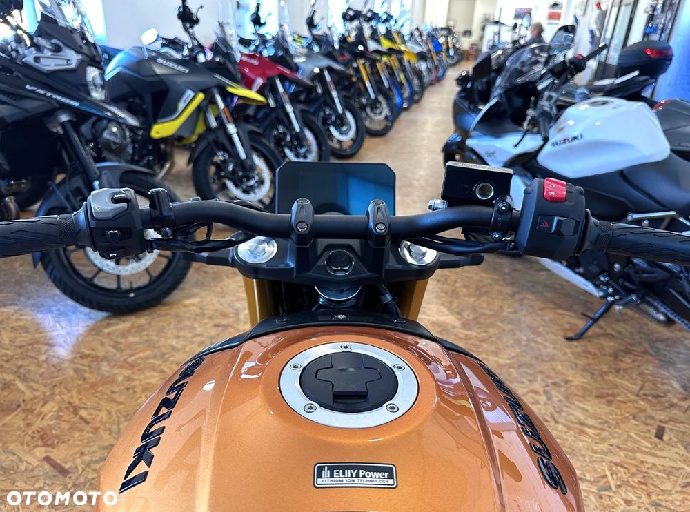 Suzuki GSX - 10