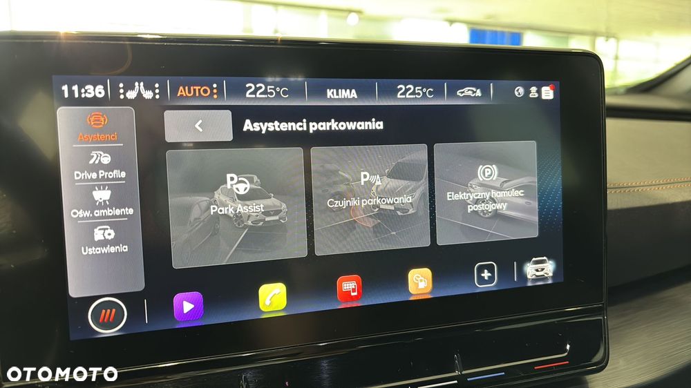 Cupra Formentor 2.0 TDI - 28