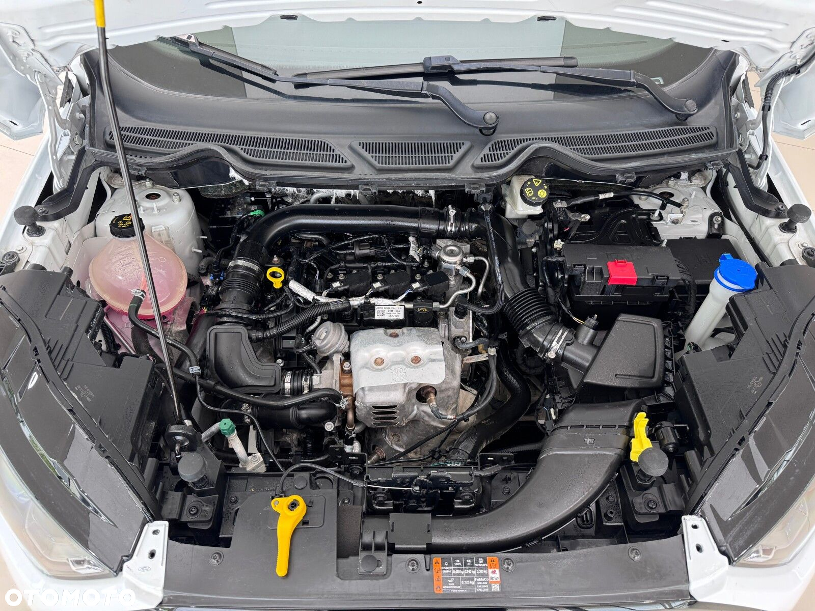 Ford EcoSport 1.0 EcoBoost GPF Active ASS - 19