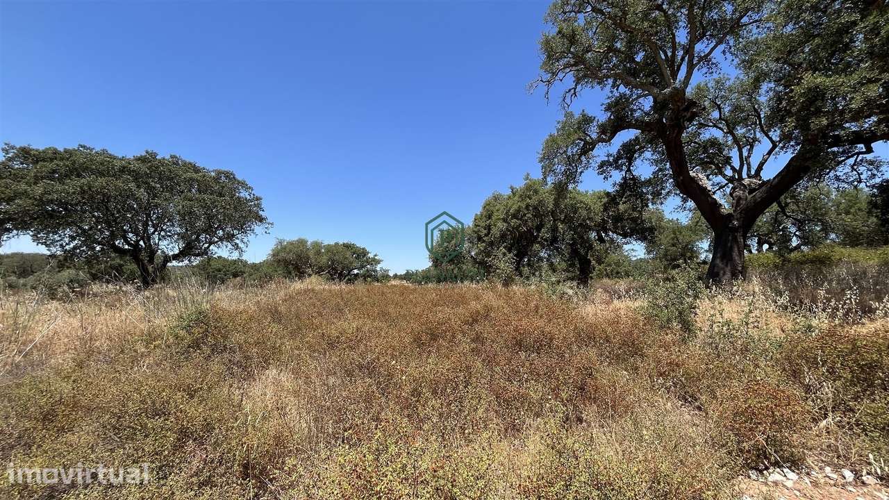 Terreno  Venda em Alandroal (Nossa Senhora da Conceição), São Brás dos - Vista 3