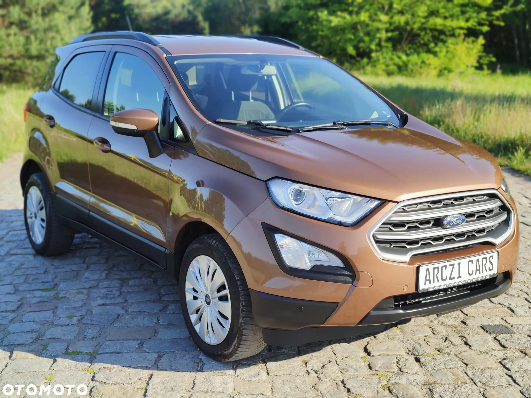 Ford EcoSport 1.0 EcoBoost - 8
