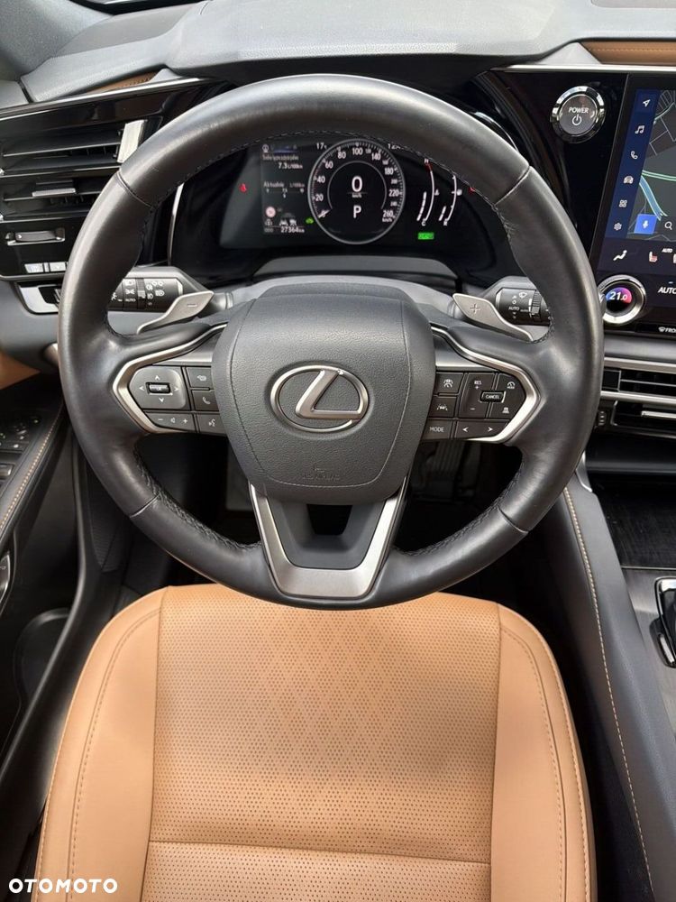 Lexus RX - 14
