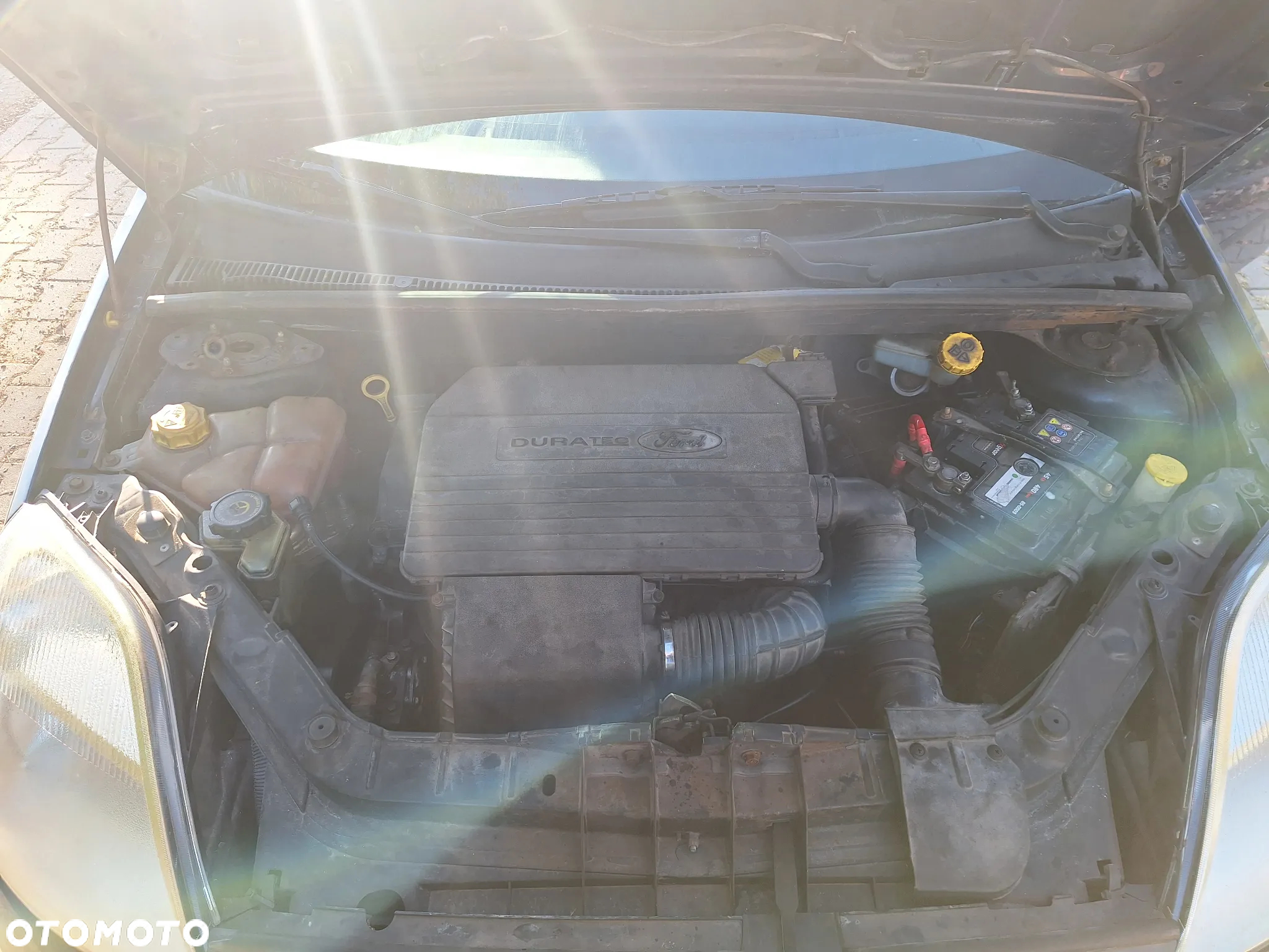 Ford Fiesta 1.3 - 8