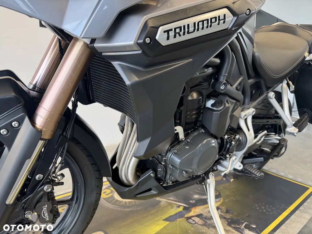 Triumph Tiger - 19