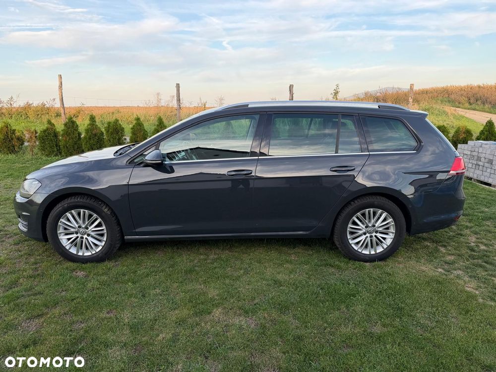 Volkswagen Golf - 5