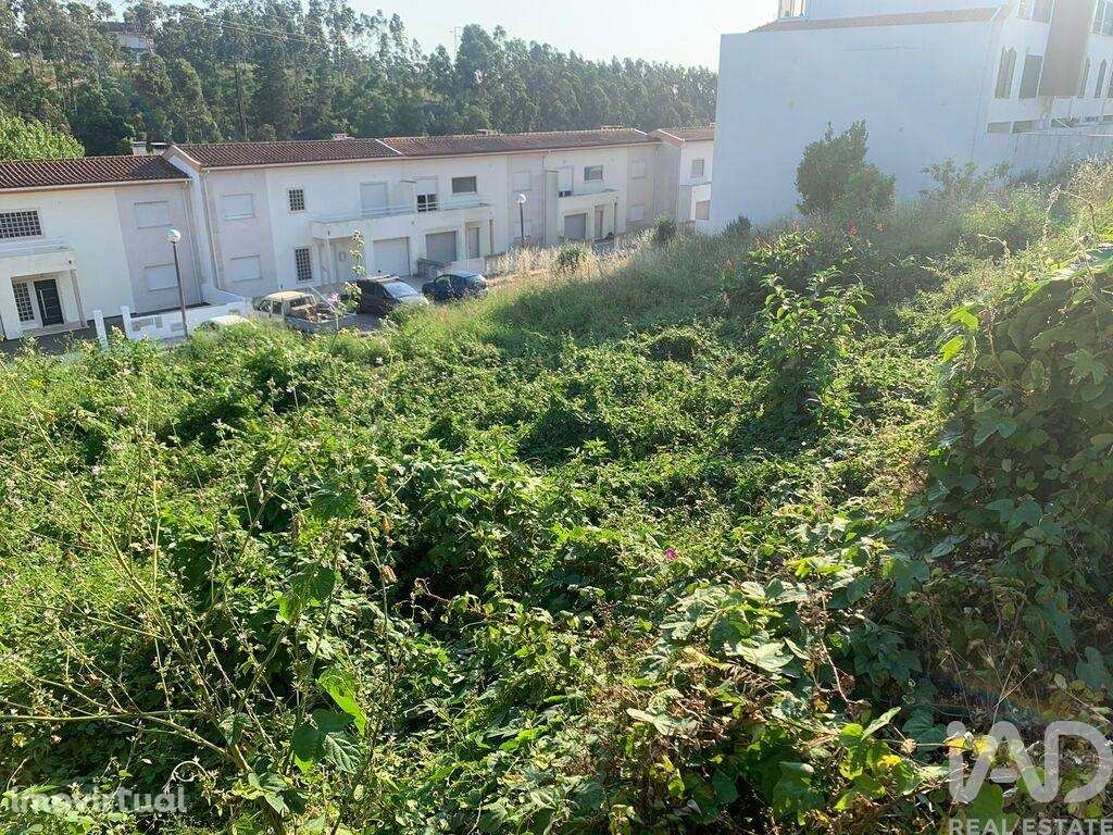Terreno em Luso de 1252,00 m2 - Grande imagem: 3/8