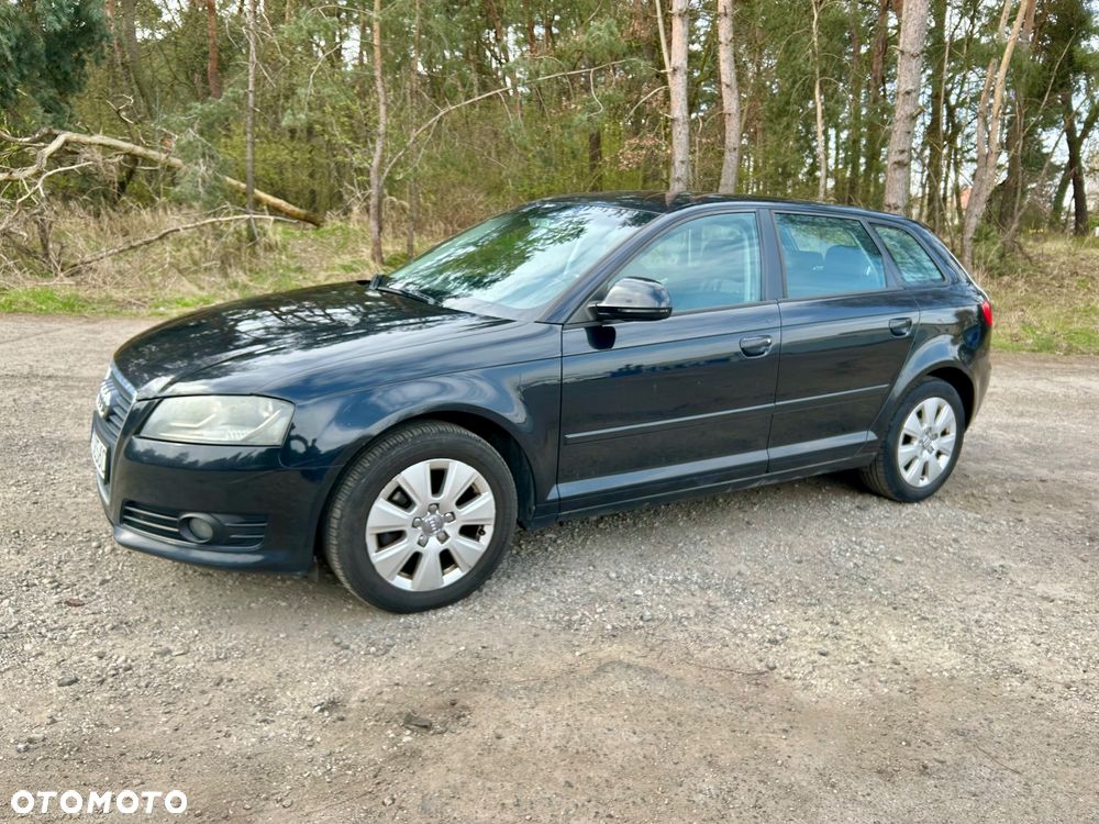 Audi A3 Sportback 1.9 TDI DPF Ambition - 2
