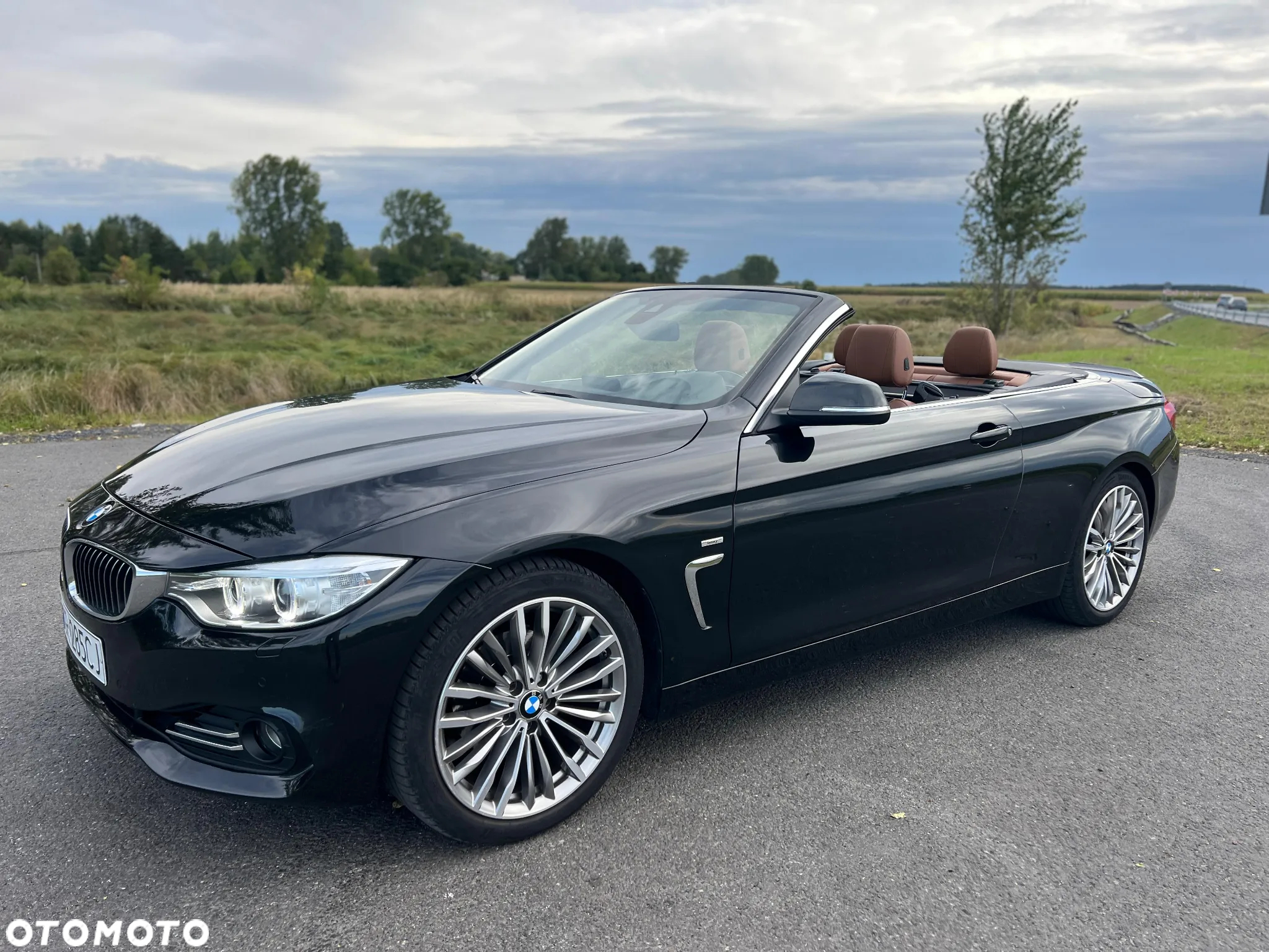 BMW Seria 4 420d Cabrio Luxury Line - 2