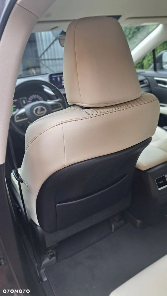 Lexus RX 450h F-Impression - 17