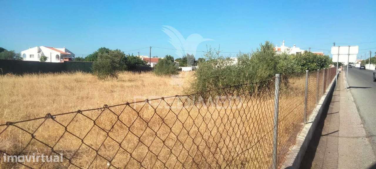 Terreno Agrícola com 2.700 m2  na Patâ de Baixo Albufeira - Grande imagem: 3/4