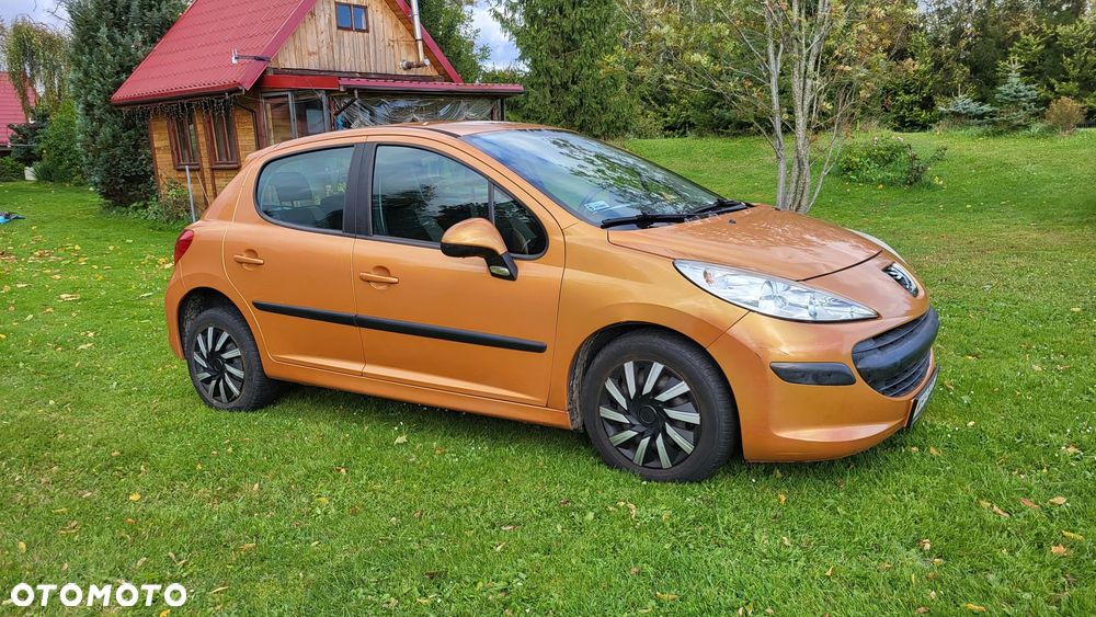 Peugeot 207 - 19