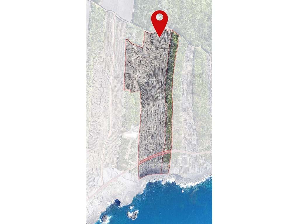 VENDA de AMPLO TERRENO com VISTA MAR e Montanha da Ilha do Pico - C... - Grande imagem: 4/17