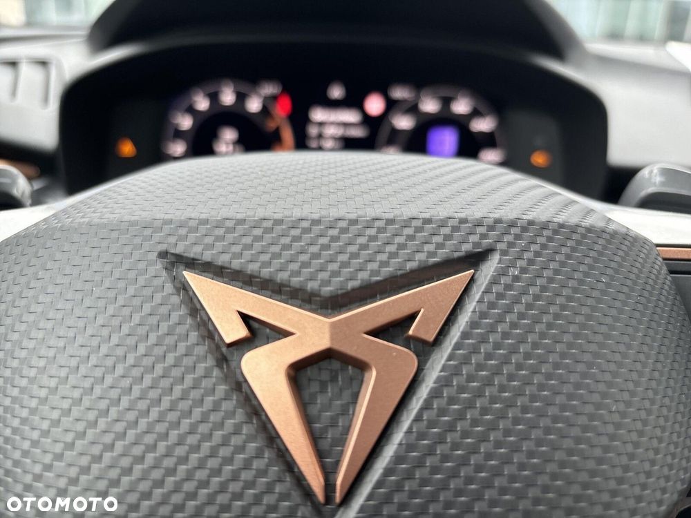 Cupra Terramar 2.0 TSI 4Drive DSG - 21