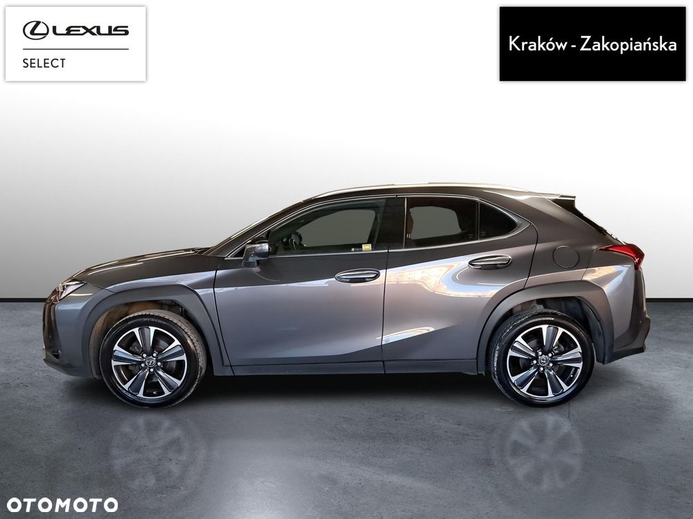 Lexus UX 250h GPF Business 2WD - 5