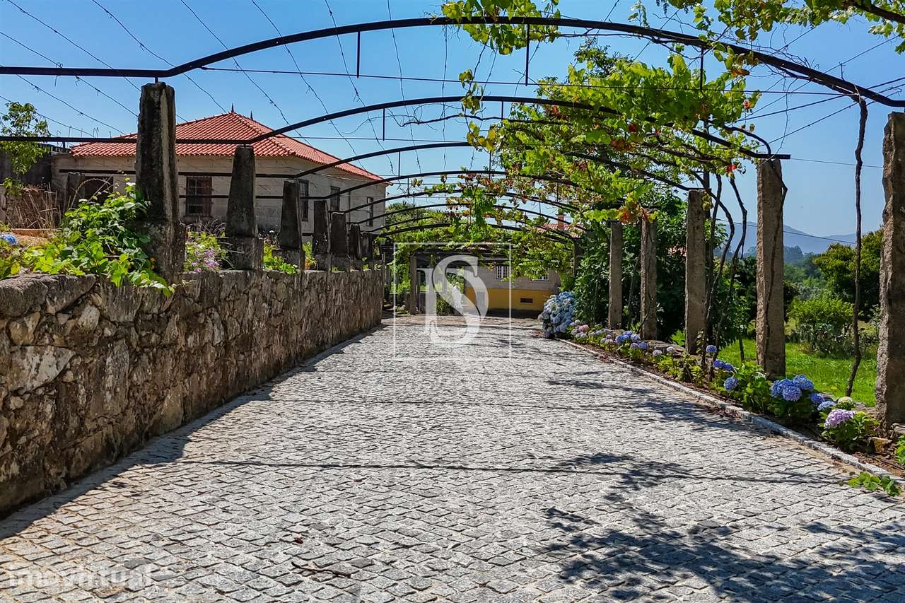 Quinta de Excelência no Coração do Minho com Produção Vinícola e de Ca - Grande imagem: 5/60