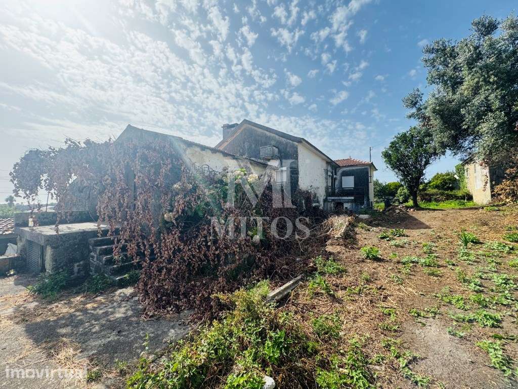 Terreno com ruínas e vista mar para venda na Areosa - Viana do Castelo - Grande imagem: 5/12