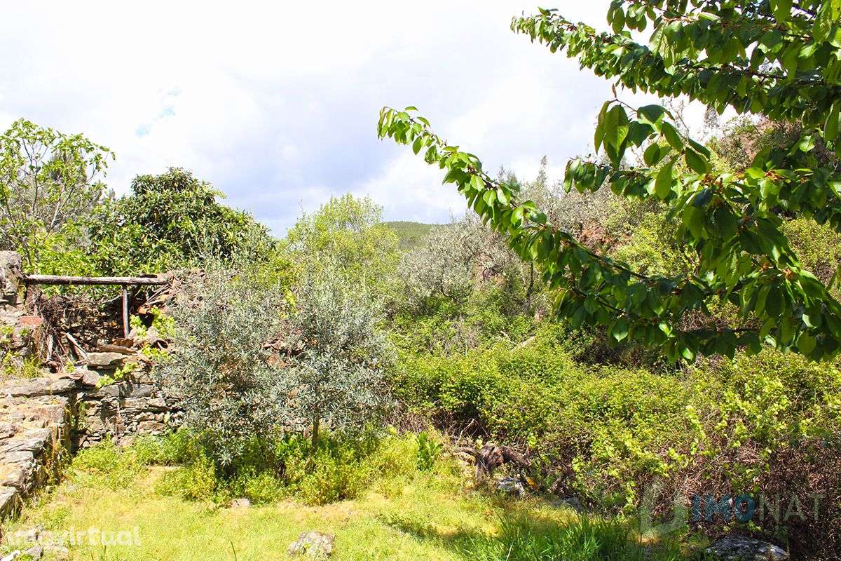 Imóvel Rural - Grande imagem: 5/24