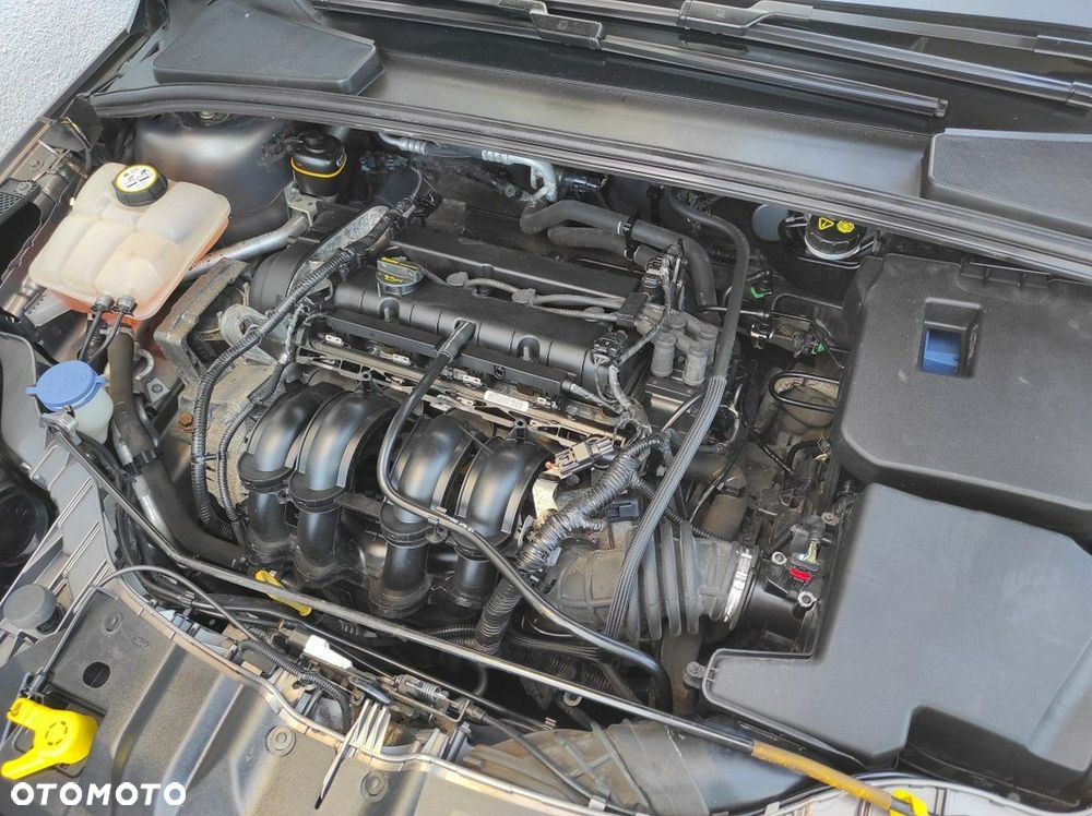 Ford Focus - 19