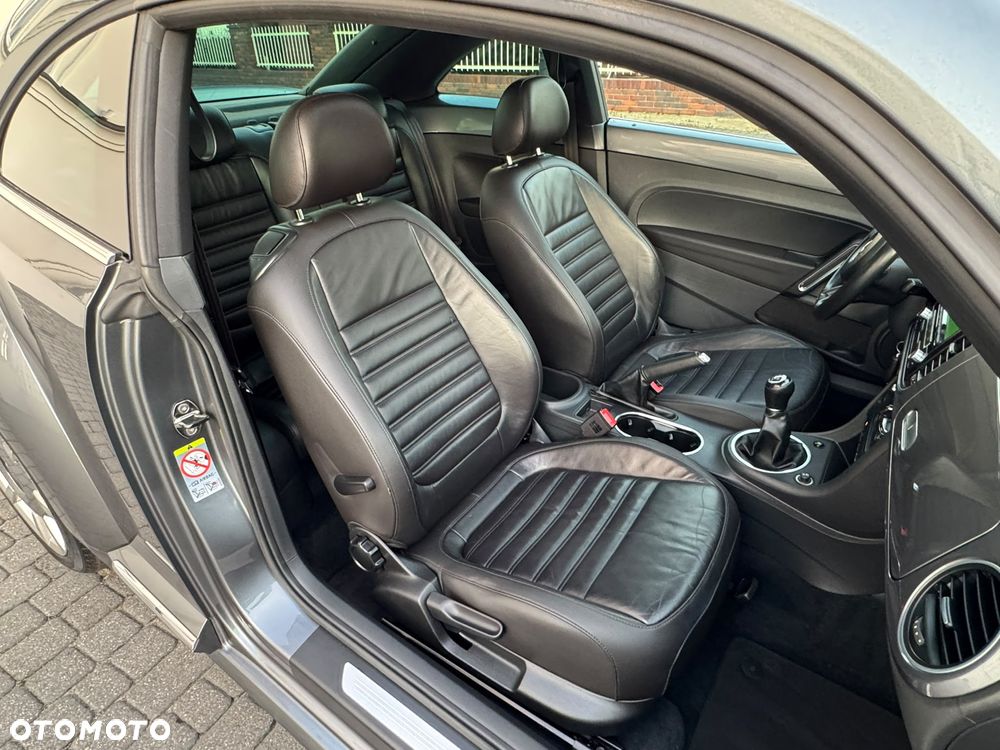Volkswagen Beetle - 18