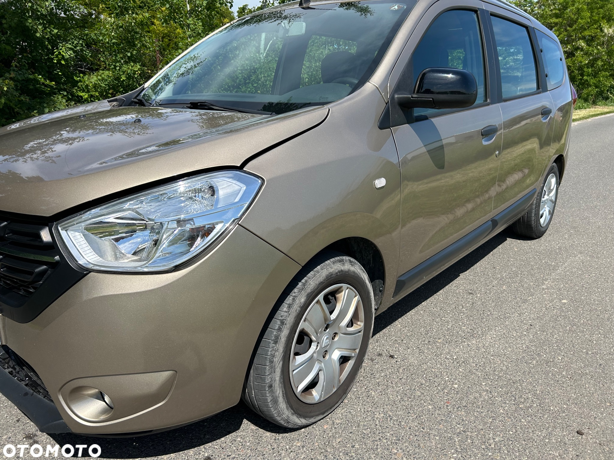 Dacia Lodgy - 16