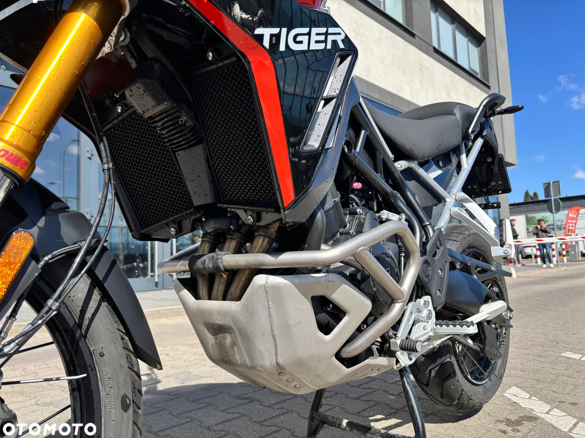 Triumph Tiger - 14