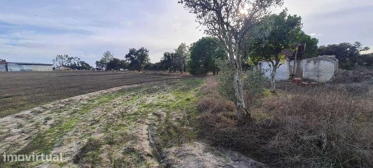 Terreno Misto 4.0 ha, Água Derramada, Grandola - Grande imagem: 5/20