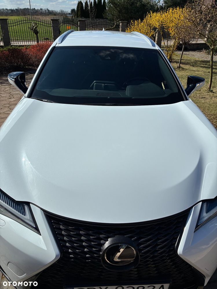 Lexus UX 250h F Sport 2WD - 2