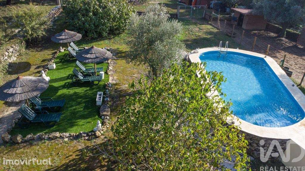 Quinta rural T7 em Areias e Pias de 500 m2 - Grande imagem: 3/40