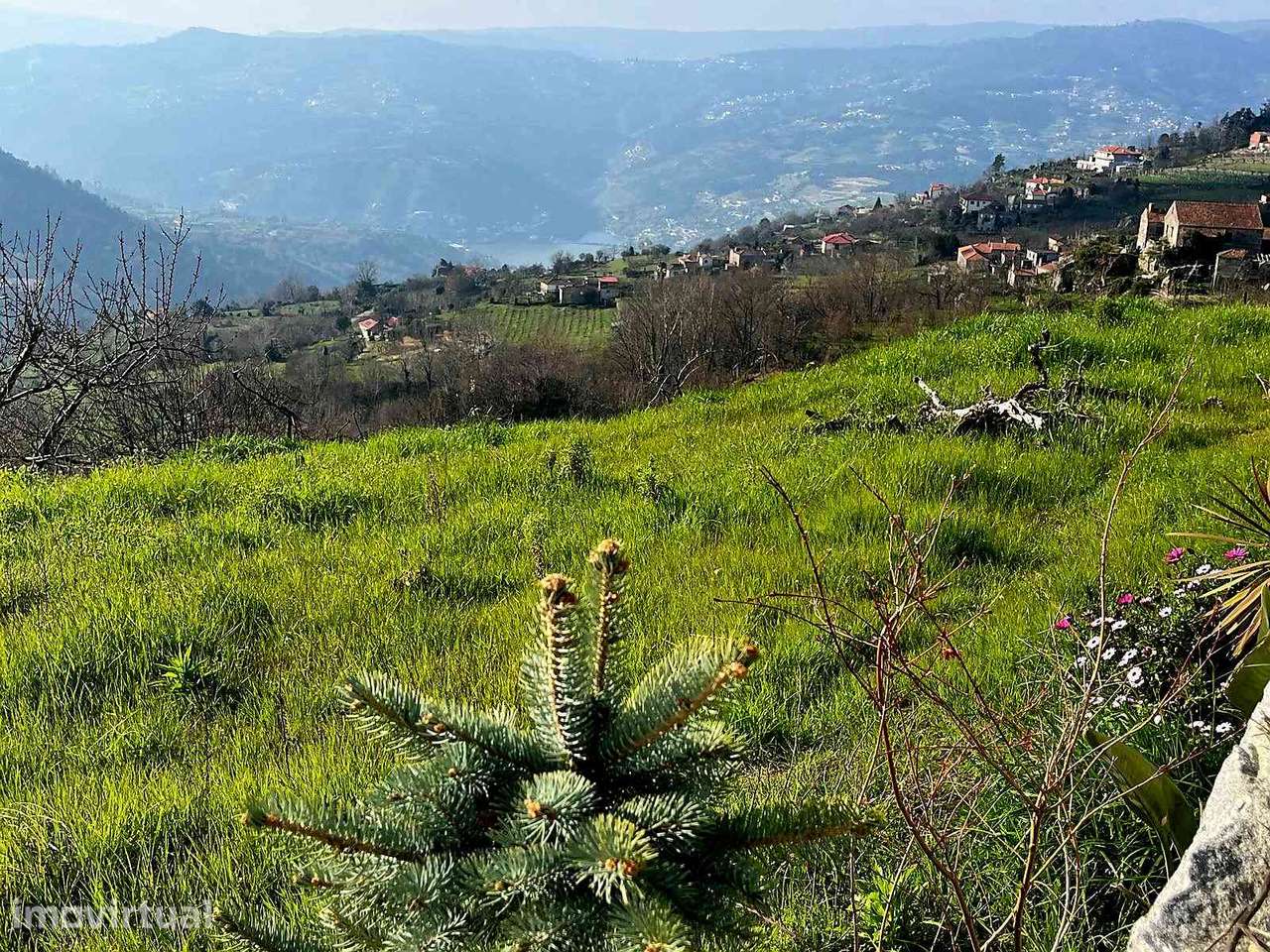 Terreno DOURO c/ projeto e licença! - Grande imagem: 3/14
