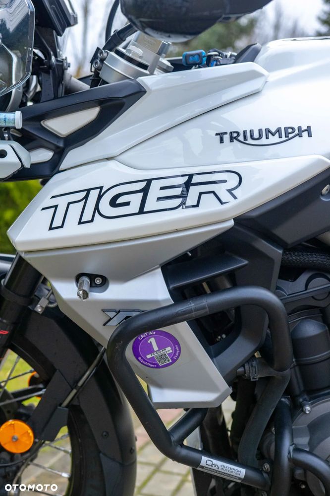 Triumph Tiger - 34