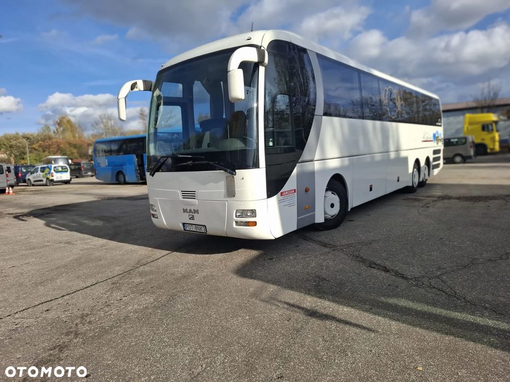 MAN LION'S COACH - 1