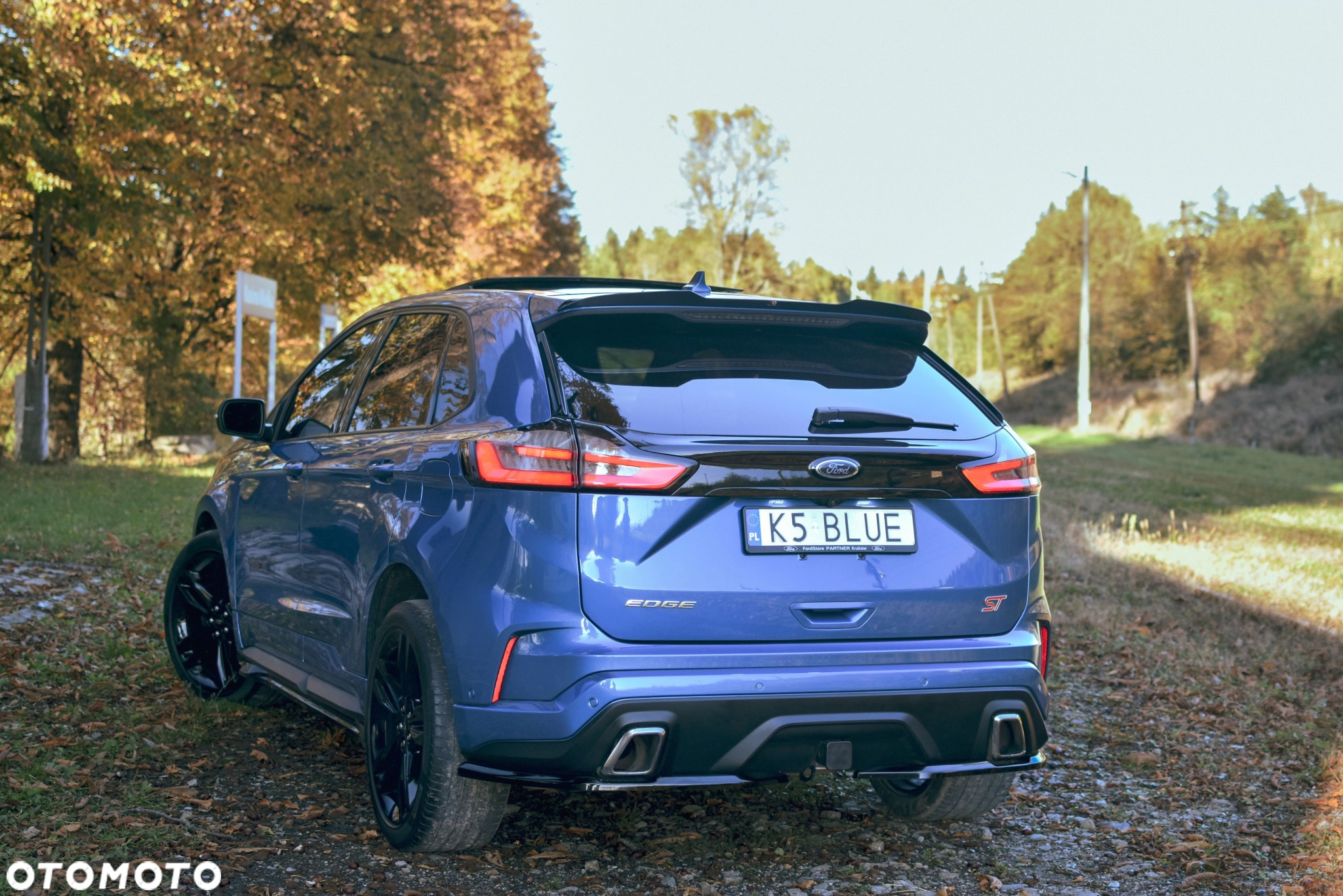 Ford Edge - 11