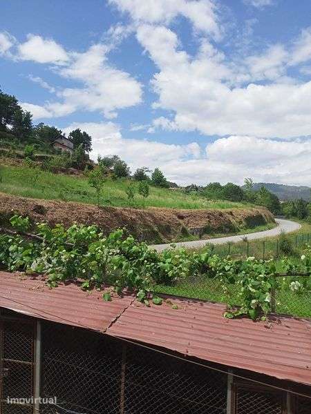 Terreno em Vieira do Minho - Grande imagem: 3/4