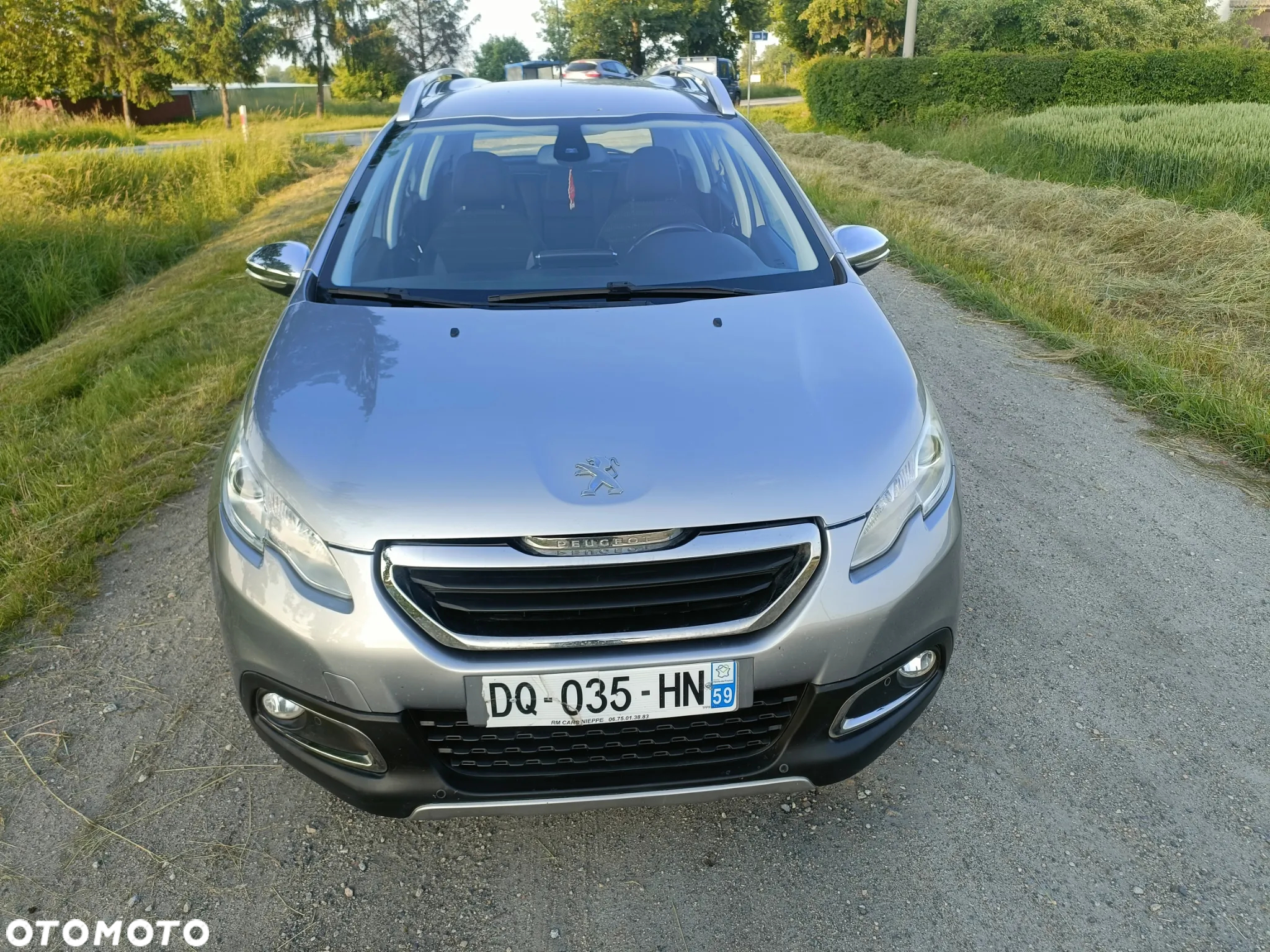 Peugeot 2008 - 4