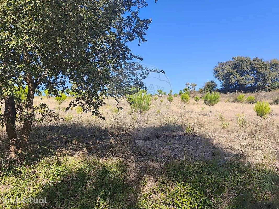 Terreno  para venda - Grande imagem: 3/4