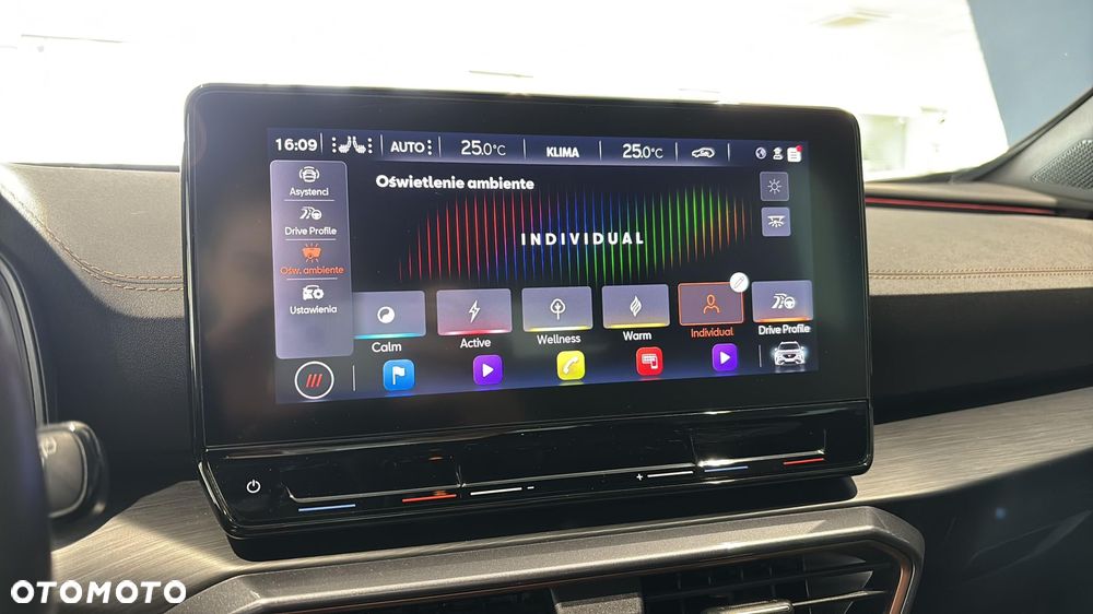 Cupra Formentor 2.0 TDI 4Drive DSG - 26