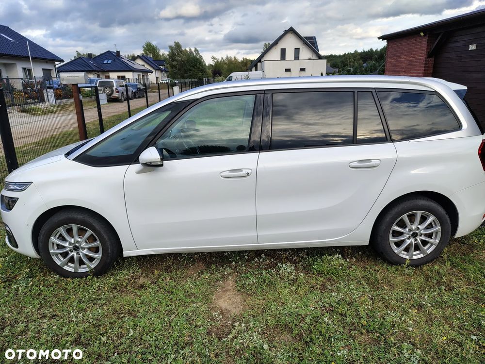 Citroën C4 Picasso 1.2 PureTech MoreLife S&S EAT6 - 9