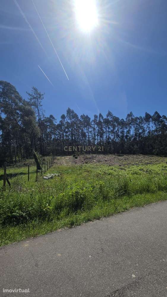 Terreno Rústico em Santa Joana - Aveiro - Grande imagem: 5/12