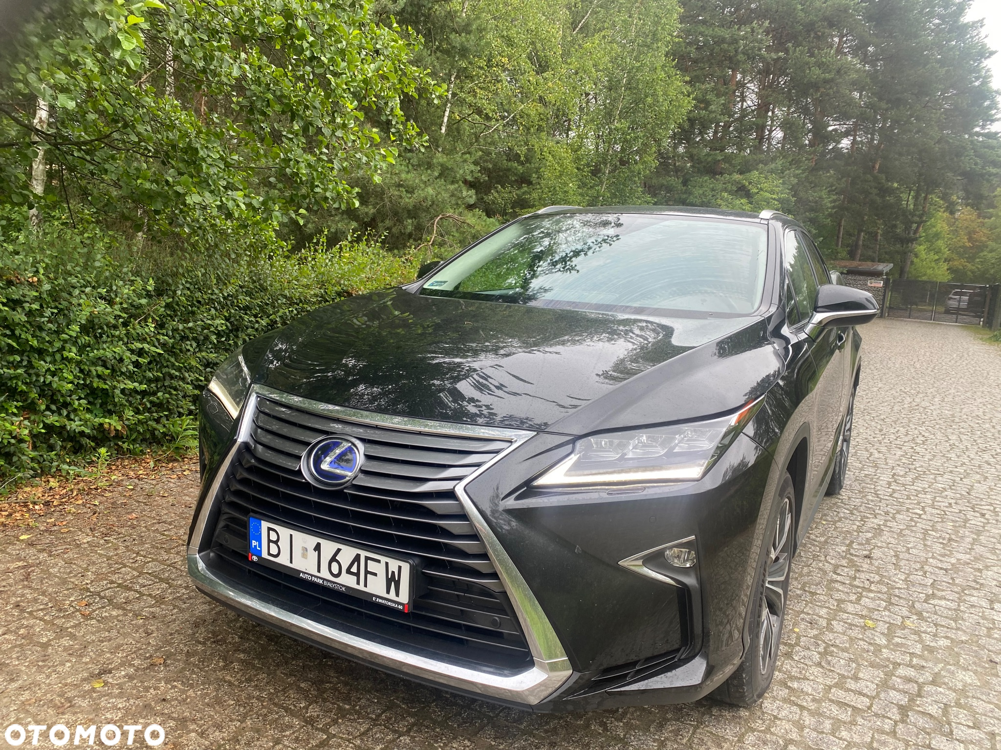 Lexus RX 450h L Prestige - 8
