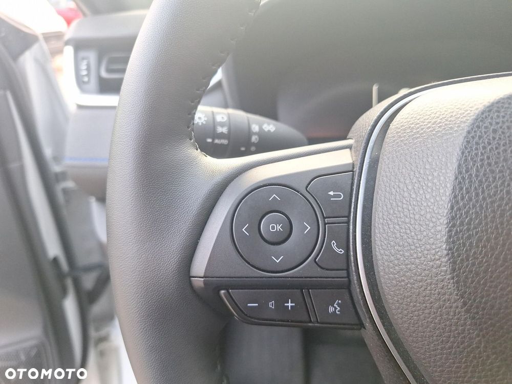 Toyota RAV4 2.5 Hybrid Selection 4x4 - 20