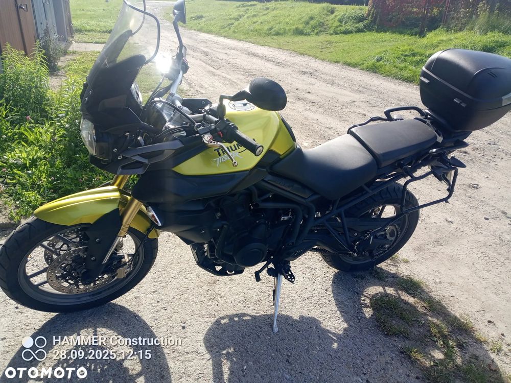 Triumph Tiger - 1