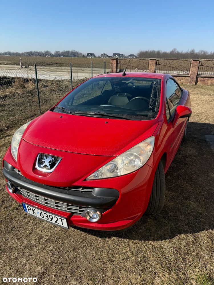 Peugeot 207 - 9