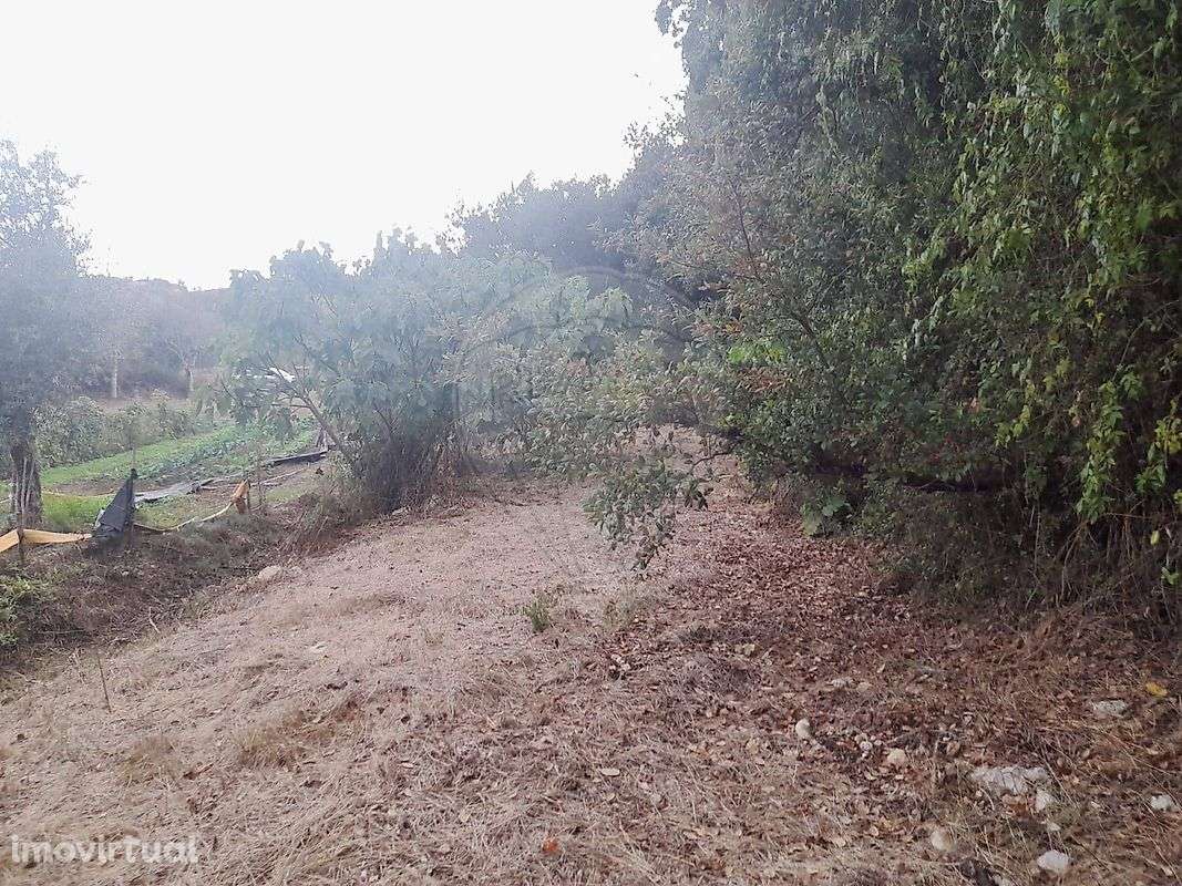 Terreno  para venda - Grande imagem: 2/12